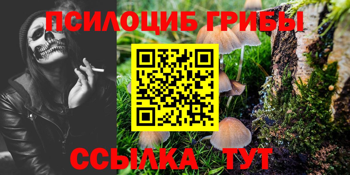 купить наркоту  Псилоцибиновые грибы Cubensis  Вход с VPN  Лыткарино 